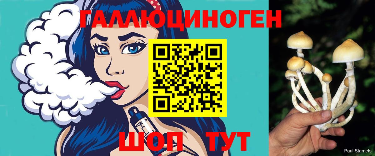 Галлюциногенные грибы GOLDEN TEACHER  Вход с VPN  Назрань 
